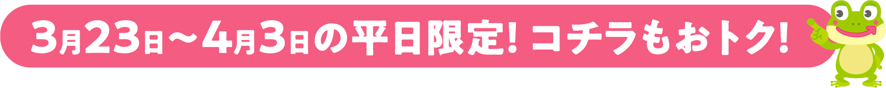 期間中の平日限定！ コチラもおトク！